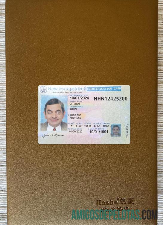 USA New Hampshire ID Card olhar de foto frente modelo